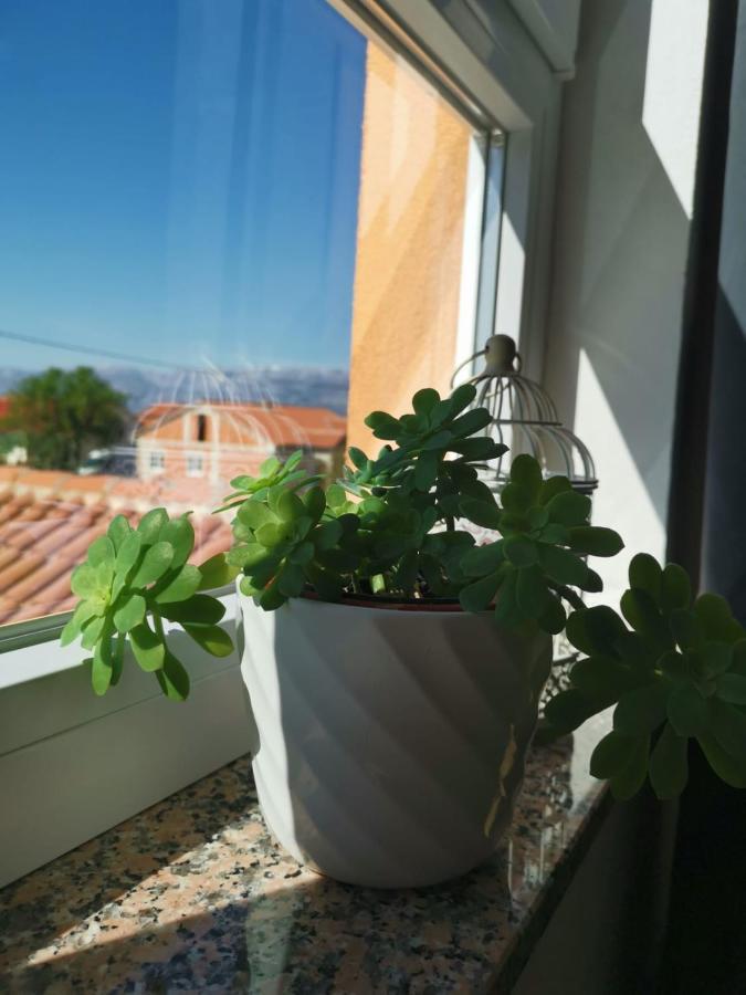 Apartament Nozret Paljuv Zewnętrze zdjęcie