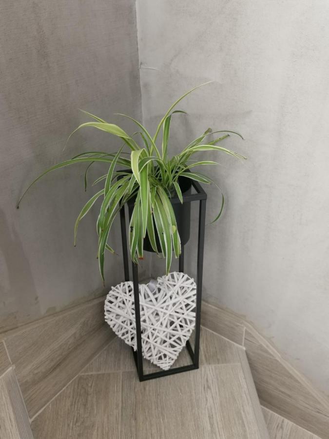 Apartament Nozret Paljuv Zewnętrze zdjęcie
